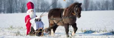 Nikolaus-mit-Schlitten-und-Pony-scaled-aspect-ratio-3-1-scaled